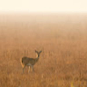 Meet your Posher, Jeff